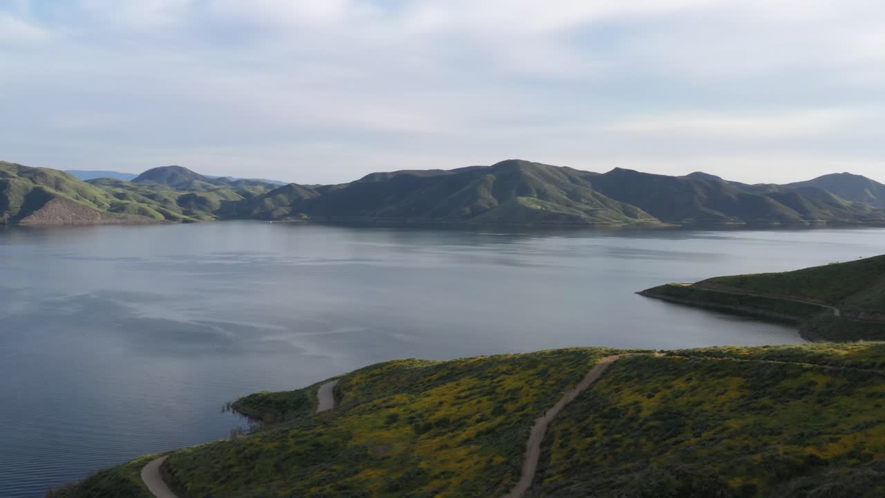 беспилотник пролетает над покрытой цветами вершиной холма и показывает большое озеро в южной калифорнии