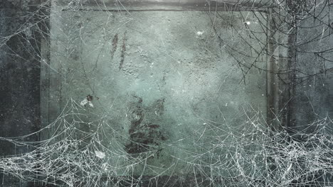 fondo de terror místico con telaraña oscura y cámara de movimiento 1