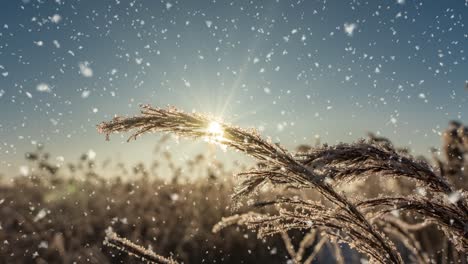 a winters scene animation with cars driving slowly down a snow-covered road and leaves falling gently from the trees. video loop