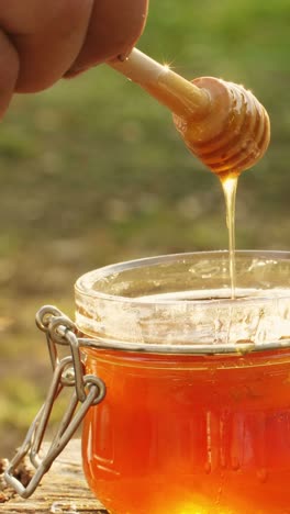 honey dipping from jar