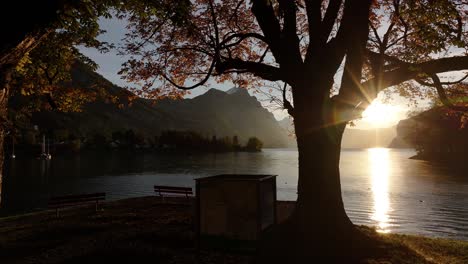 breathtaking view of a park overlooking a lake with beautiful mountains in the background, creating a natural frame.