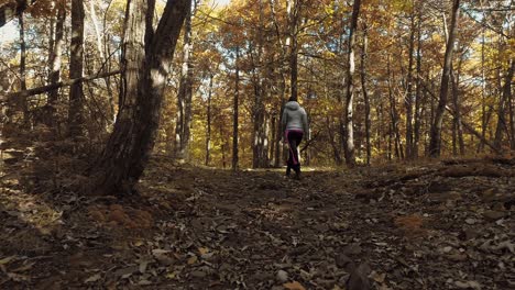 mujer caminando por el bosque en un día soleado de otoño en cámara lenta baja seguimiento disparo