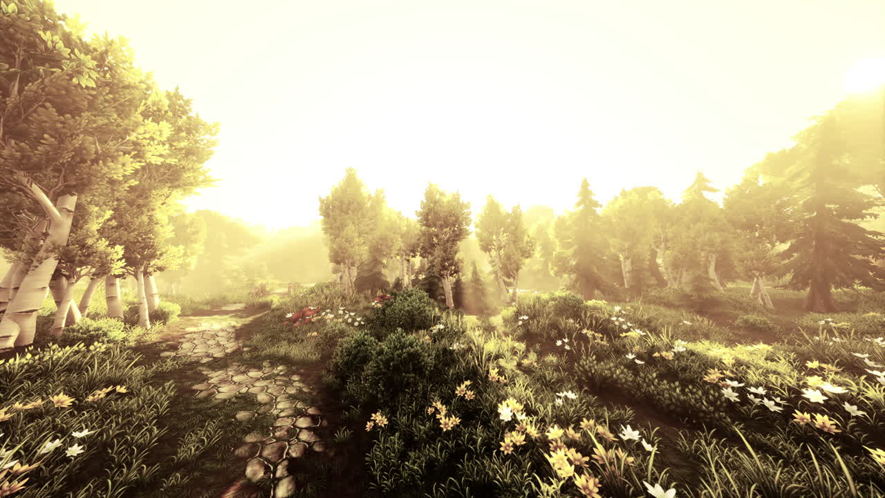 마법의 숲길: 빛이 비치는 초원을 가로질러의 마법의 여행