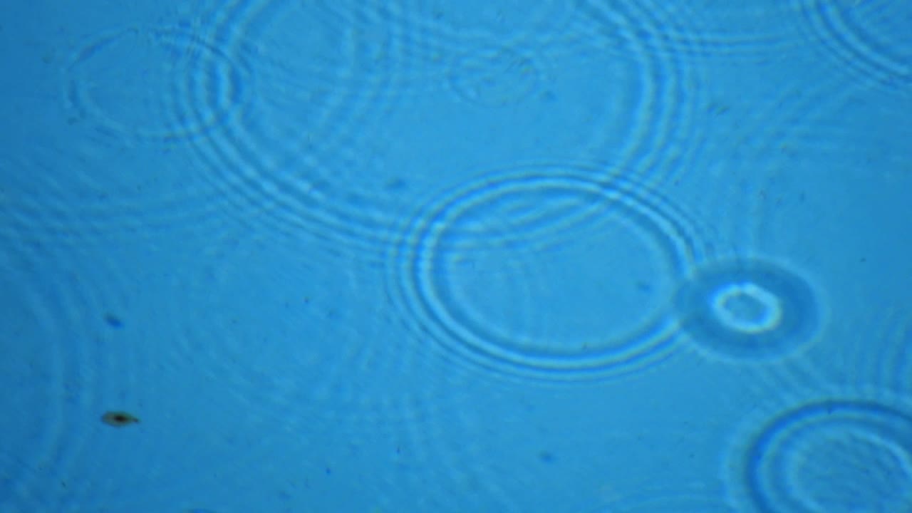 Raindrops on water