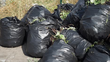 garbage bags filled with yard waste