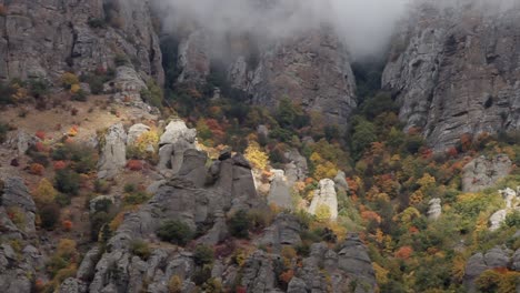 autumn foggy mountain landscape