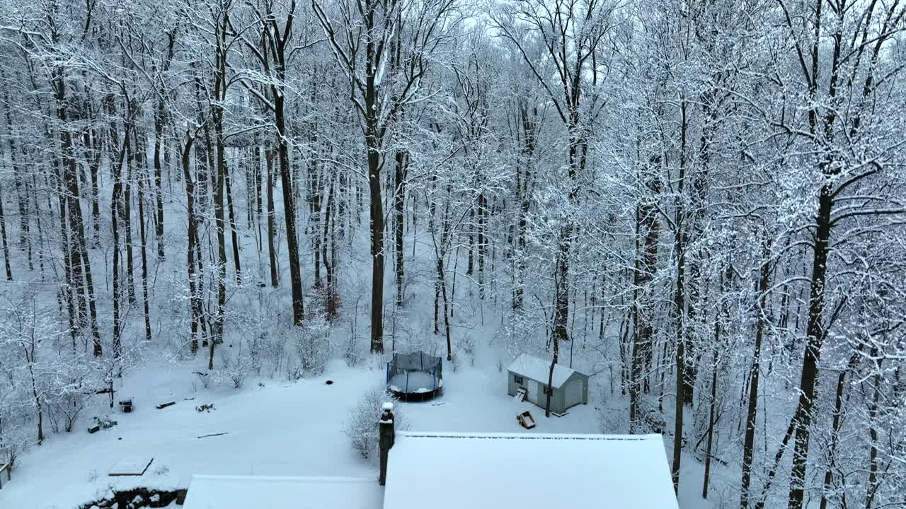 한적한 삼림 지대에 있는 미국 가정집