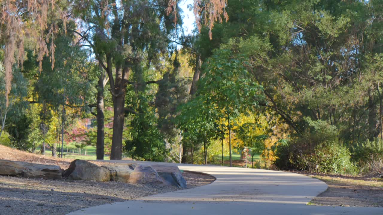 Paisaje de parque con sendero