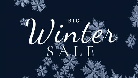 Digitally-generated-video-of-winter-sale-4k