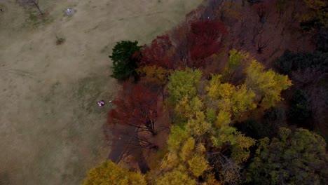 A-park-in-autumn-with-colorful-trees-and-a-walking-path,-tranquil-and-scenic,-taken-at-dusk,-aerial-view