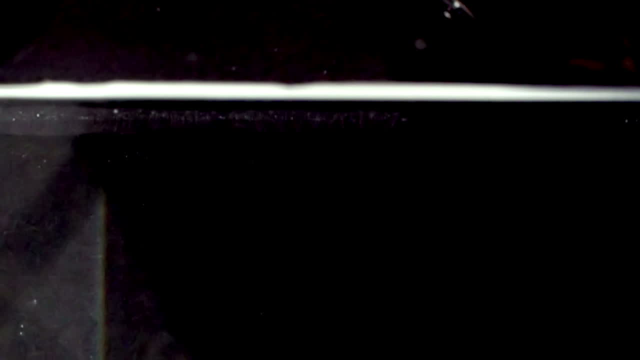 슬로우 모션 레몬 05