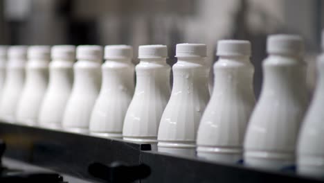 footage of white plastic milk bottles sorted at the production line and moving forward in a milk company