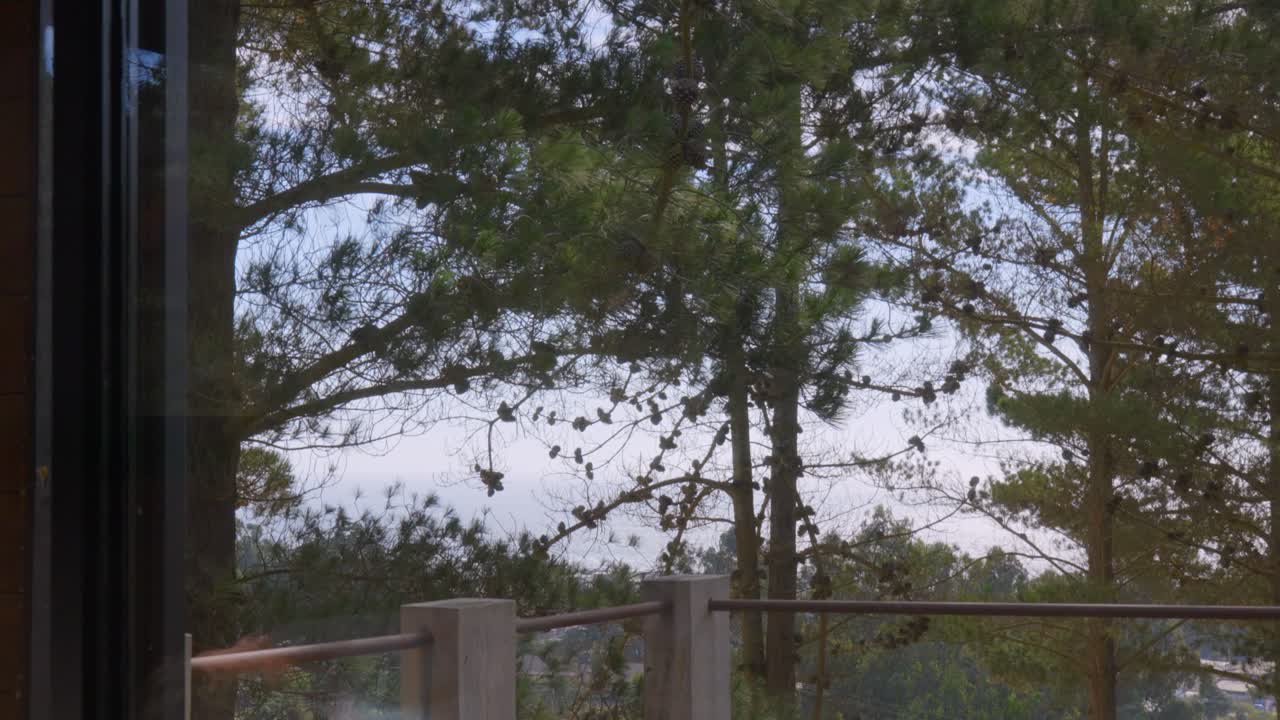 mesa con implementos de medicina china como agujas, tijeras y ventosas para la terapia con ventosas, en el fondo hay un hermoso bosque de pinos