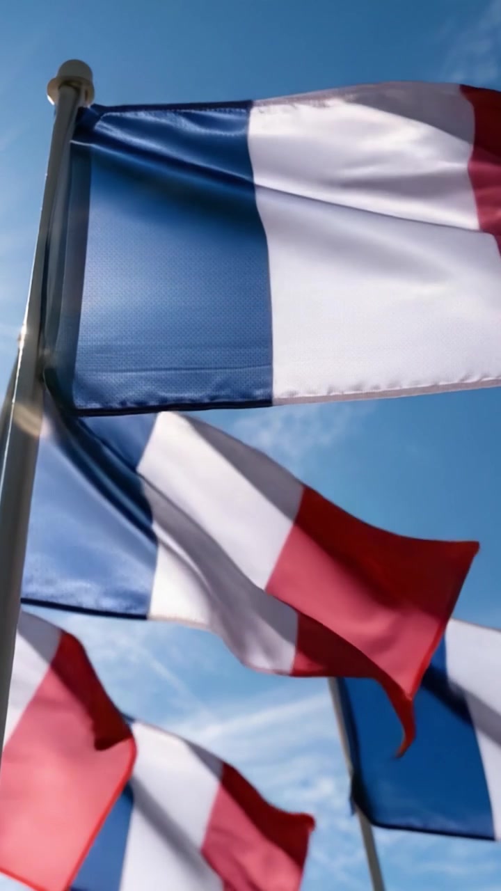 Bandiere francesi che sventolano contro un cielo luminoso: una vibrante dimostrazione di orgoglio nazionale e colori in un suggestivo scenario all'aperto.