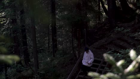 숲 속 의 나무 계단 을 올라가는 사람