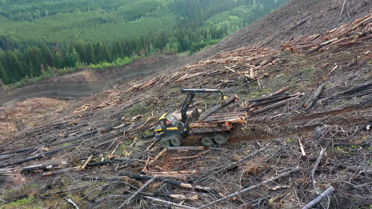 Drone Perspective: Forwarder Loading Timber on Mountainous Trail