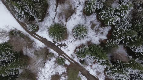 Toma-Aérea-4k-De-Un-Hermoso-Paisaje-Forestal-Invernal