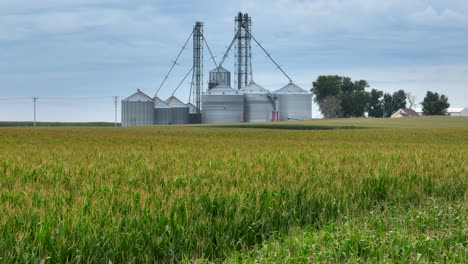 campo de maíz en la borla y la revelación de los grandes estados unidos elevador de grano