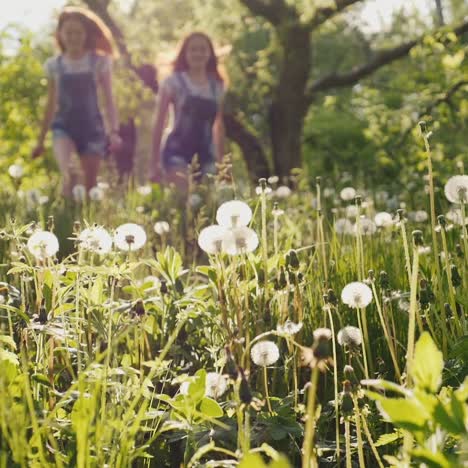 Two-Carefree-Girls-Are-Running-Around-In-The-Field-Of-Dandelions-2