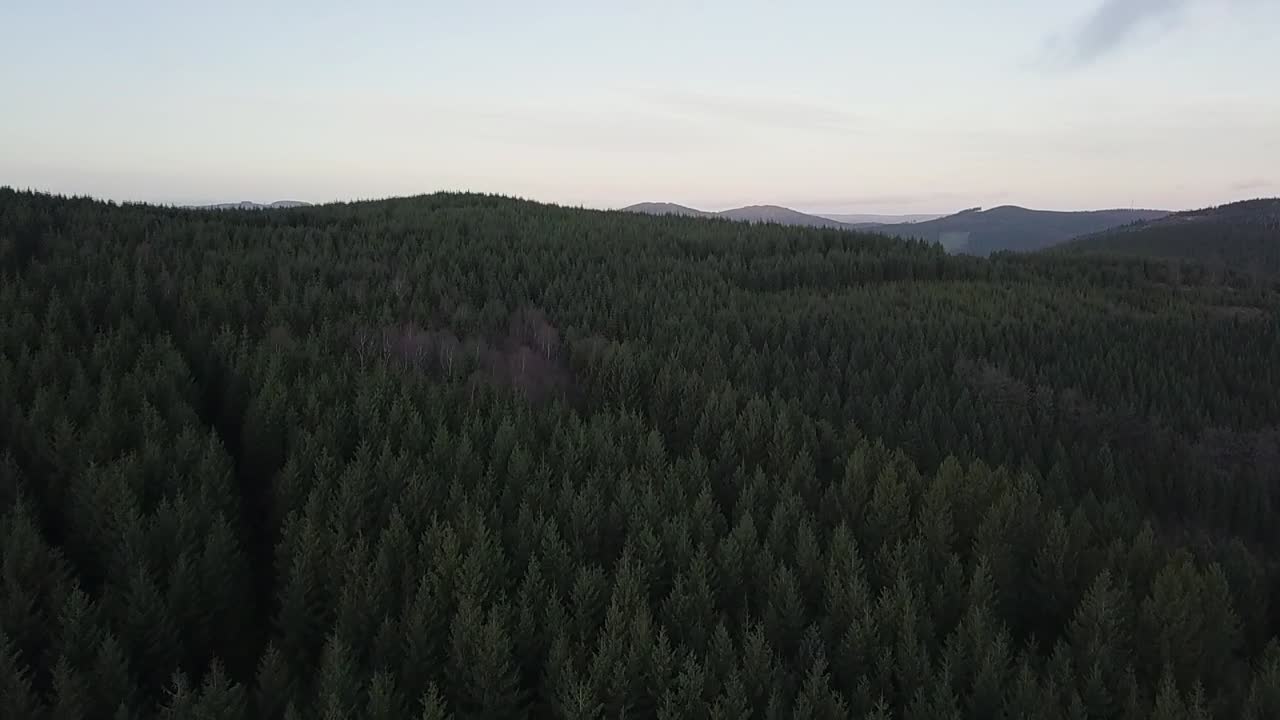 Incredible view of a beautiful forest in Germany, with an imposing dark green color