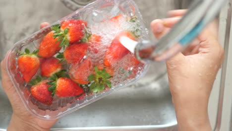 lavado de fresas en un recipiente de plástico