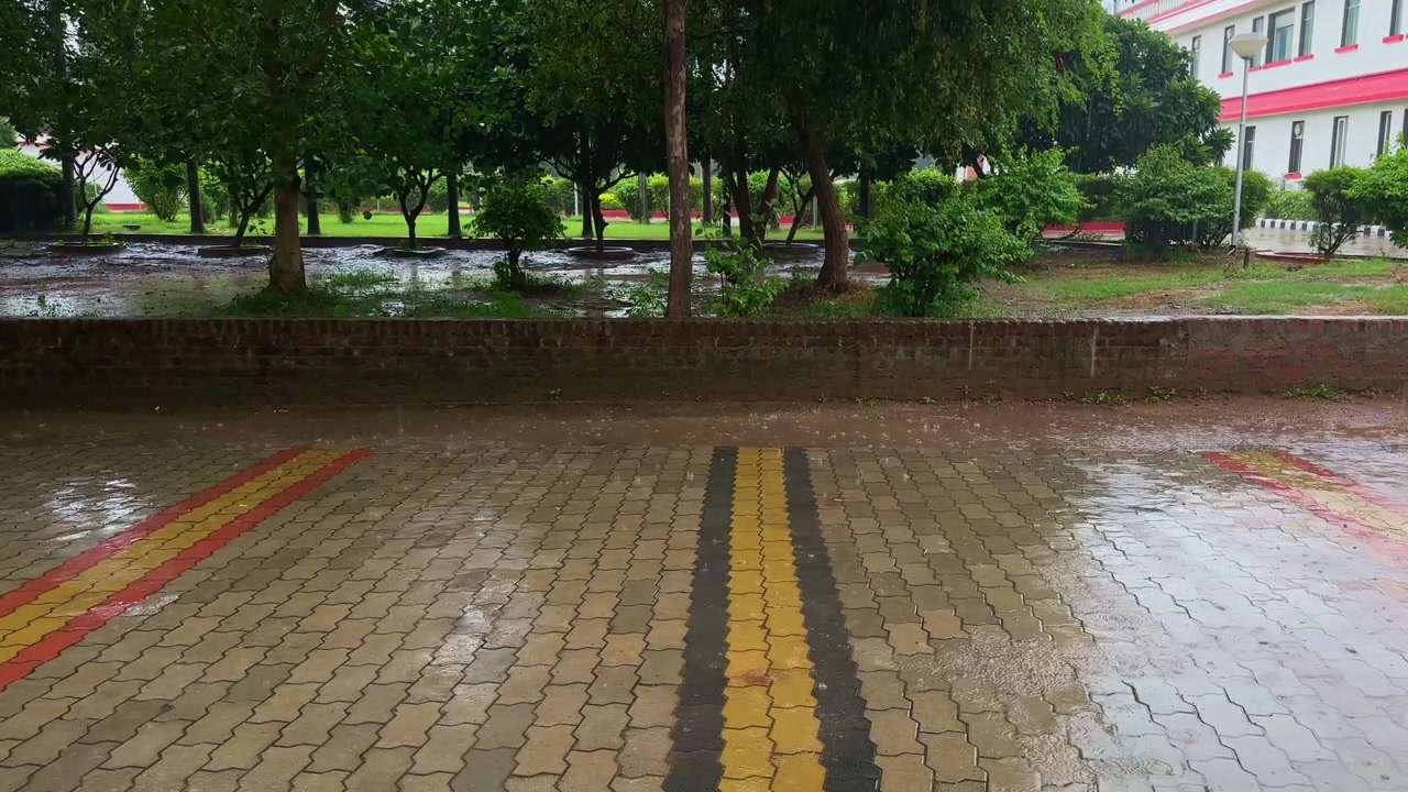 Static shot of raindrops falling onto wet brick pavement and puddles with lush trees and a landscaped park in the background