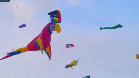 Cometas-Temáticas-De-Abeja-De-Miel-De-Bandera-Antigua-De-Loro-Grande