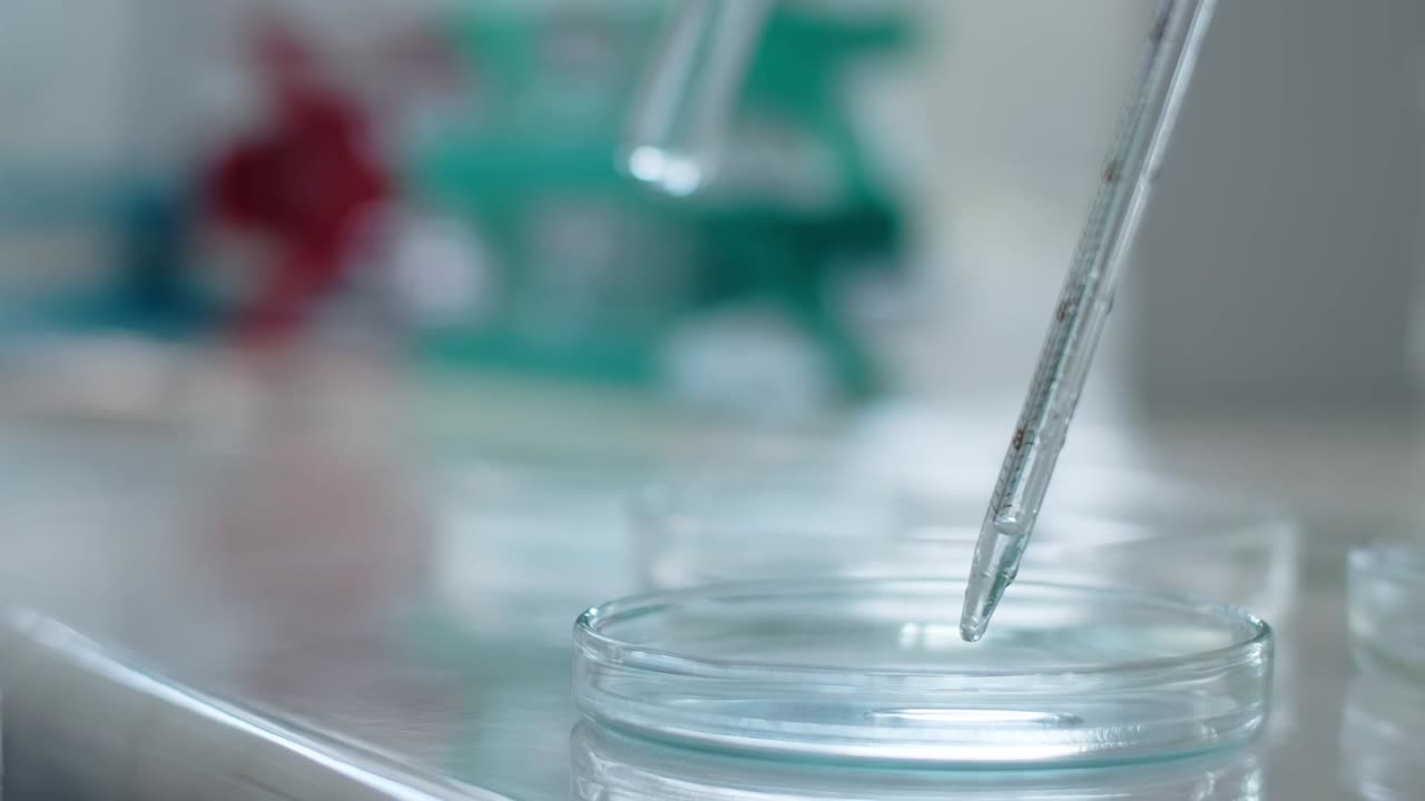 Laboratory experiment with pipette and petri dish