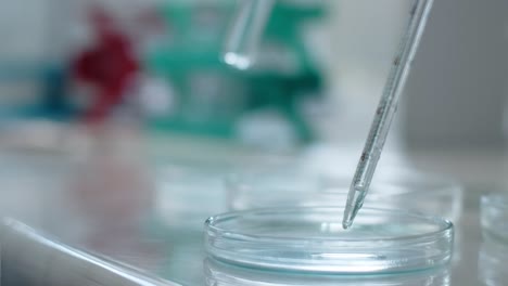 laboratory experiment with pipette and petri dish