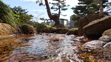 underwater perspective of a stream's flow over time