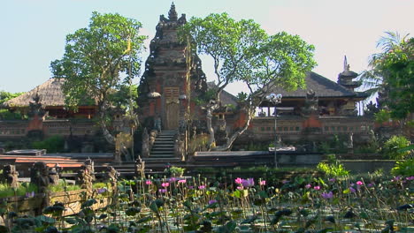 巴厘島的蓮花寺周圍有花園