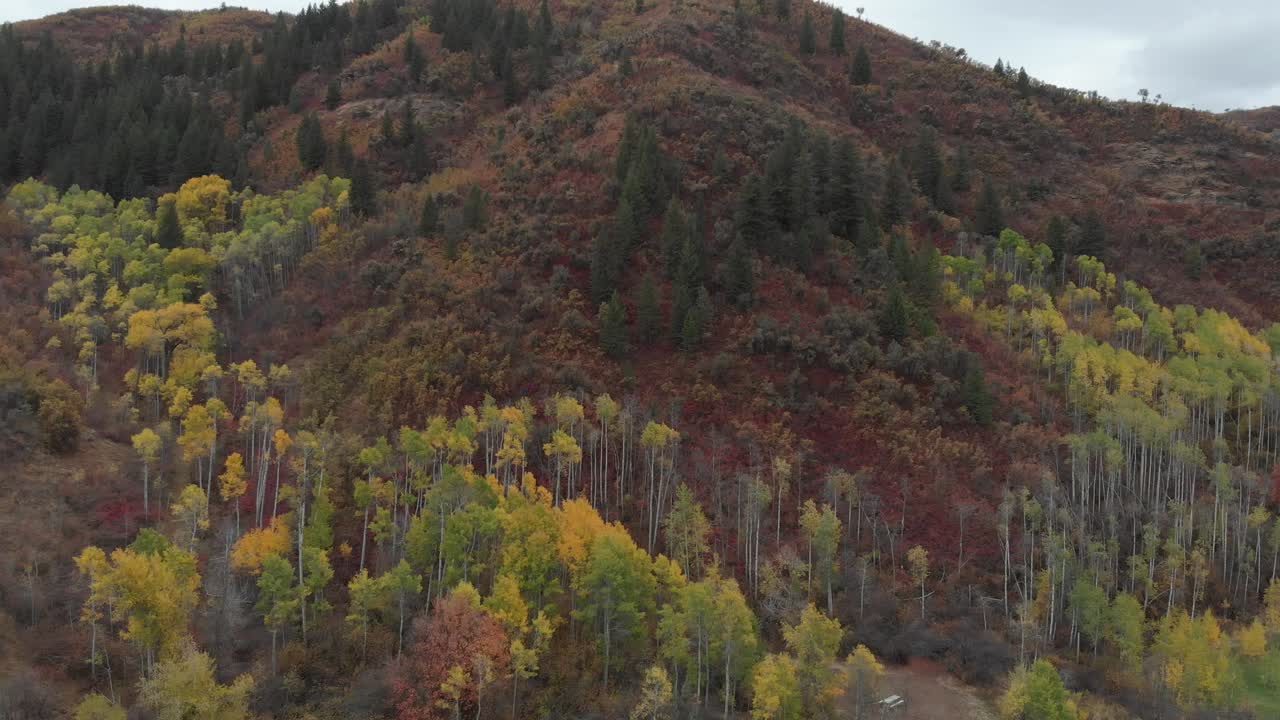 imágenes de drones de los colores del otoño en las montañas