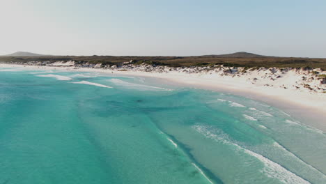 turquoise ocean waves rolling on the beach of wharton bay