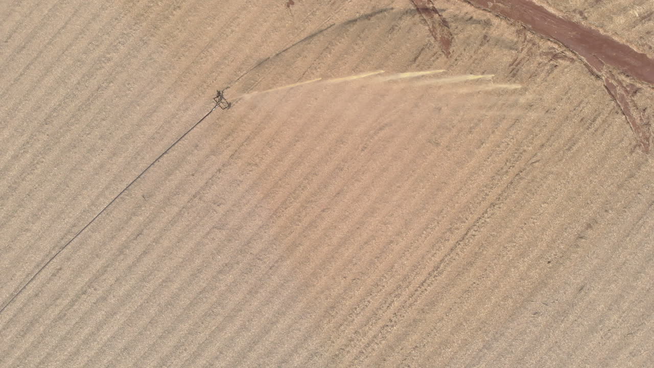 사탕수수 농장의 토양 처리