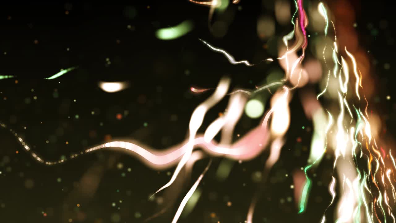 resumen0107 del consejo