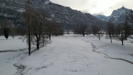 Walensee-Schweiz-Flug-Durch-Wald-In-Richtung-Berge