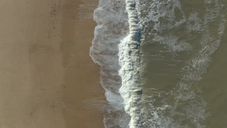 slow rising aerial shot of crashing waves and a seal emerging from them for a split second