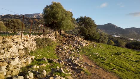 Pov-Caminando-Por-Un-Camino-Rocoso-En-La-Campiña-Española-Cubierta-De-Hierba-A-La-Hora-Dorada