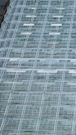 greenhouse with a transparent roof, aerial view. large industrial greenhouses with vegetables. vertical video