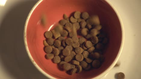 Pouring-Dry-Cat-Food-Into-The-Cat-Bowl---overhead-view