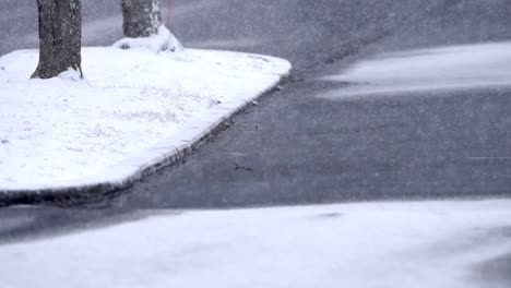 small snowflakes falling on a street, winter day, snow covered path and grass, cold snowfall, static shot in slow motion, copy space