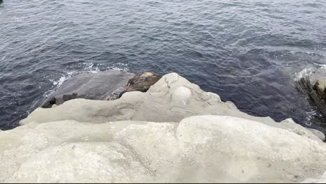 sea-lions-sleeping-on-a-rock-formation-on-the-southern-California-coast