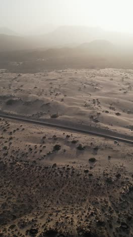 view of the sand dunes of corralejo and the atlantic ocean fuerteventura