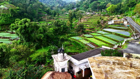 green jungle with terraced rice plantations and village, aerial view
