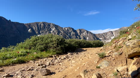 Wanderer-Auf-Dem-Greys-And-Torreys-Peak-Trail-Und-Kleiner-Australischer-Hundewelpe-Fourteener-14er-Juni-Juli-Sommer-Colorado-Blauer-Himmel-Rocky-Mountains-Landschaft-Schneeschmelze-Kontinentale-Wasserscheide-Statische-Aufnahme-Am-Frühen-Morgen