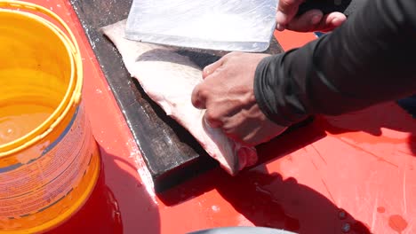 limpieza y corte de pescado en un barco