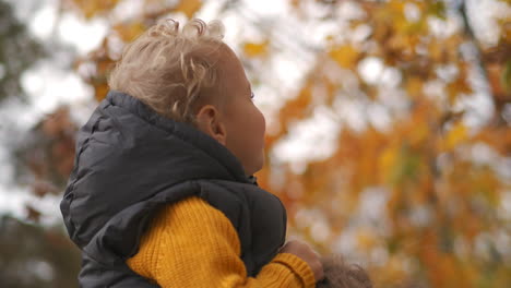 charming little boy is catching yellow leaves on tree sitting on shoulders of mother at walk in forest at autumn closeup portrait of baby