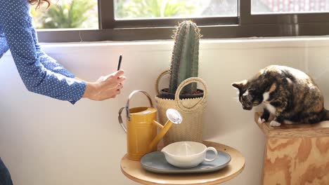 caucasian woman using her phone at home