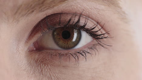ojo de mujer de cerca mirando a la cámara belleza del iris humano