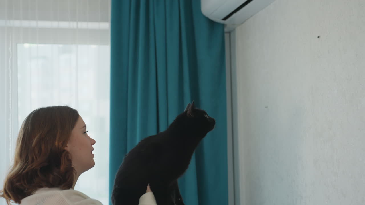 Woman And Her Feline Partake In Cheerful Indoor Amusement, Woman Happily Interacts With Her Cat During Energetic Home Play, Woman And Her Cat Engage Joyfully In Lively Indoor Activities By Window